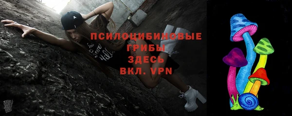 PSILOCYBIN Нязепетровск