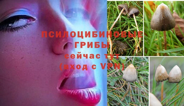 соль ск Нягань