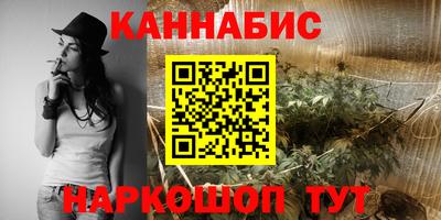 крисы Бийск