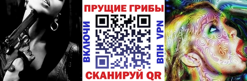 нарко площадка наркотические препараты  как найти   Тюмень  Галлюциногенные грибы Cubensis 
